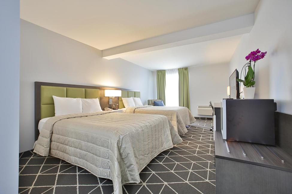King Hotel Palmerston Kültér fotó